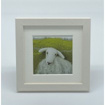 One White Sheep - Felt Art Mini Print